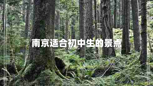 南京适合初中生的景点