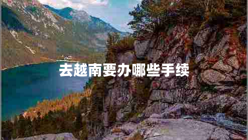 去越南要办哪些手续