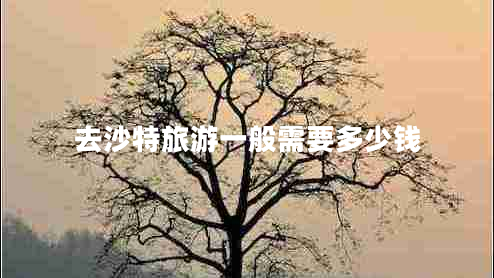 去沙特旅游一般需要多少钱