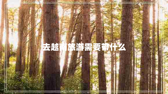 去越南旅游需要带什么 去越南旅游需要带什么