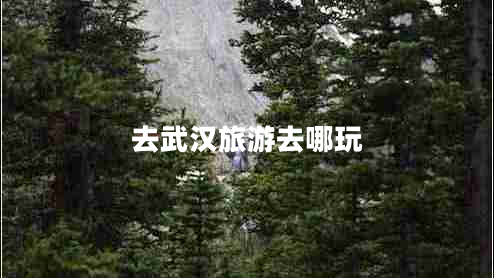 去武汉旅游去哪玩