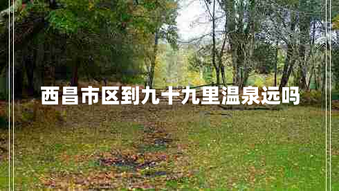 西昌市区到九十九里温泉远吗