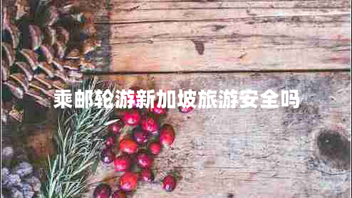 乘邮轮游新加坡旅游安全吗