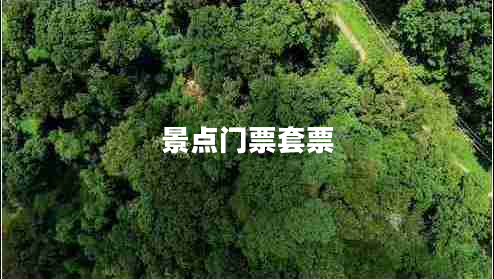 景点门票套票