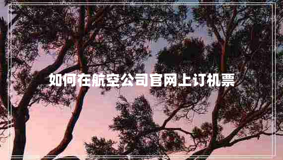 如何在航空公司官网上订机票