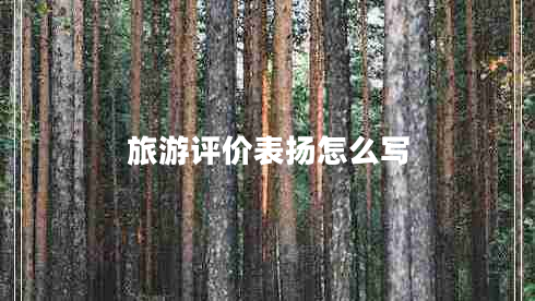 旅游评价表扬怎么写