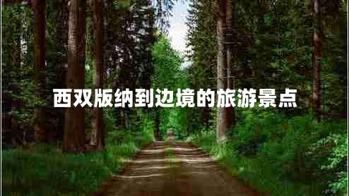 西双版纳到边境的旅游景点