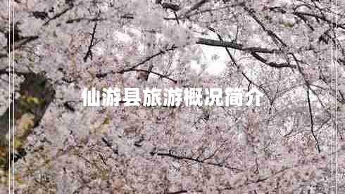 仙游县旅游概况简介
