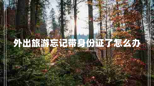 外出旅游忘记带身份证了怎么办