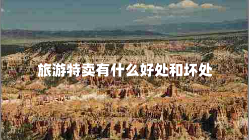 旅游特卖有什么好处和坏处