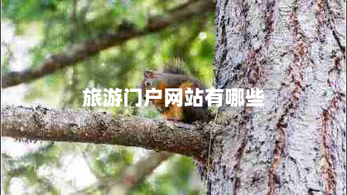 旅游门户网站有哪些