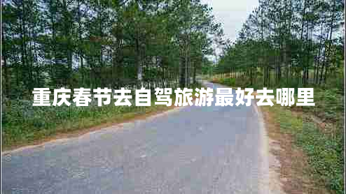 重庆春节去自驾旅游最好去哪里