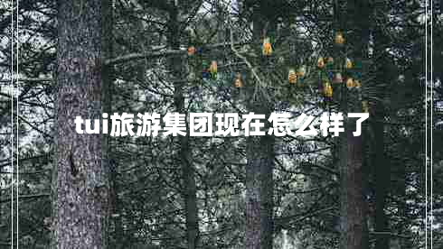 tui旅游集团现在怎么样了