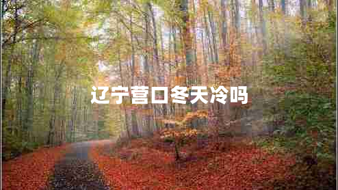 辽宁营口冬天冷吗
