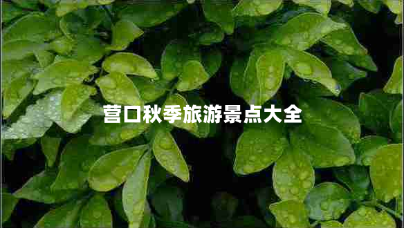 营口秋季旅游景点大全