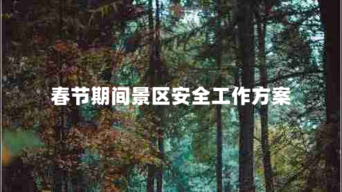 春节期间景区安全工作方案