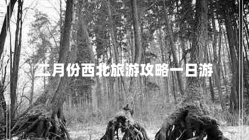 二月份西北旅游攻略一日游