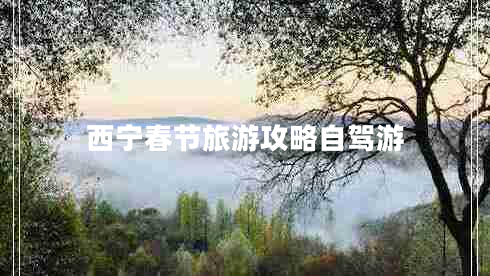 西宁春节旅游攻略自驾游