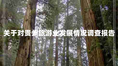 关于对贵州旅游业发展情况调查报告