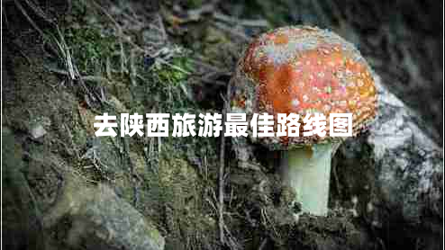 去陕西旅游最佳路线图