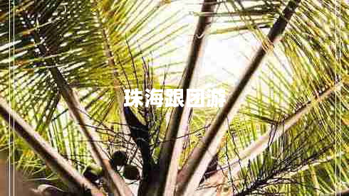 珠海跟团游