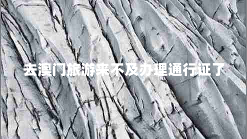 去澳门旅游来不及办理通行证了