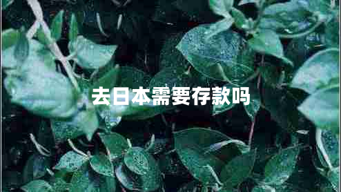 去日本需要存款吗