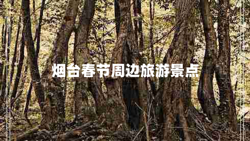 烟台春节周边旅游景点