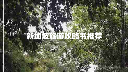 新加坡旅游攻略书推荐