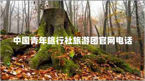 中国青年旅行社旅游团官网电话