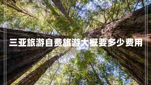 三亚旅游自费旅游大概要多少费用 三亚旅游自费旅游大概要多少费用