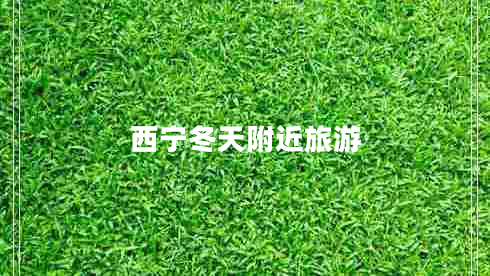 西宁冬天附近旅游