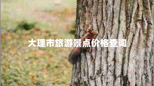 大理市旅游景点价格查询