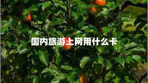 国内旅游上网用什么卡