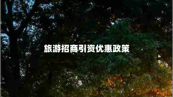 旅游招商引资优惠政策