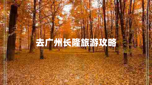 去广州长隆旅游攻略