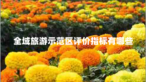 全域旅游示范区评价指标有哪些