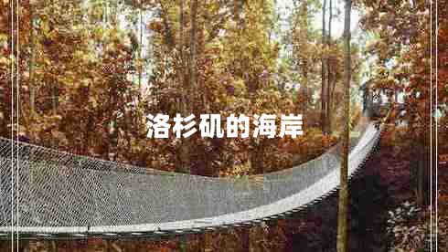 洛杉矶的海岸
