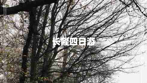 长隆四日游