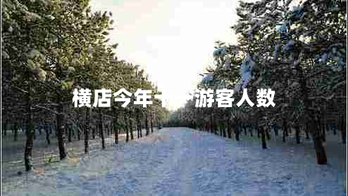 横店今年十一游客人数