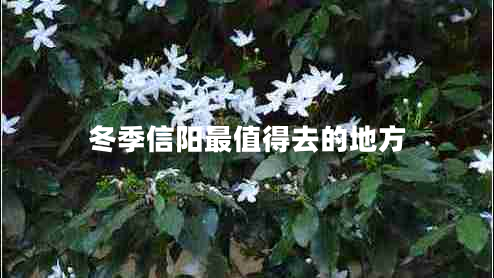 冬季信阳最值得去的地方