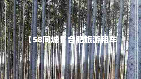 【58同城】合肥旅游租车