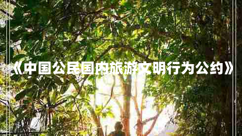 《中国公民国内旅游文明行为公约》