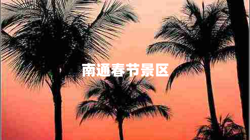 南通春节景区