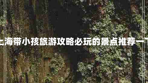 上海带小孩旅游攻略必玩的景点推荐一下