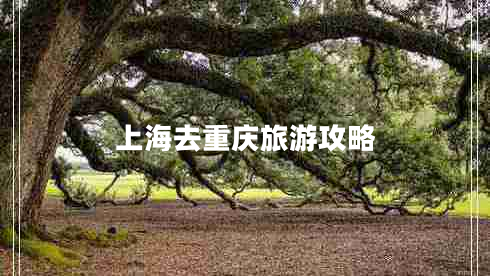 上海去重庆旅游攻略