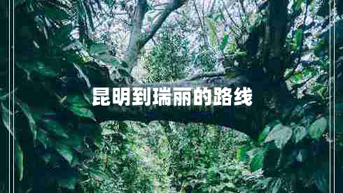 昆明到瑞丽的路线