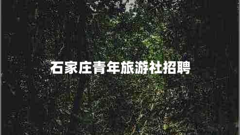 石家庄青年旅游社招聘