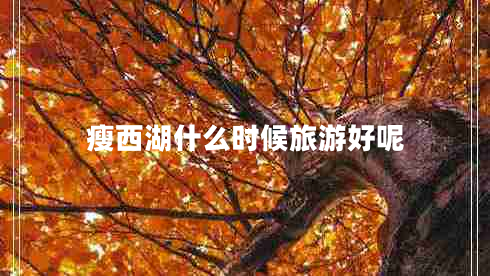 瘦西湖什么时候旅游好呢