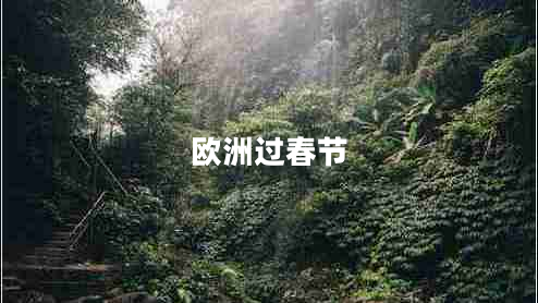 欧洲过春节
